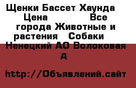 Щенки Бассет Хаунда  › Цена ­ 25 000 - Все города Животные и растения » Собаки   . Ненецкий АО,Волоковая д.